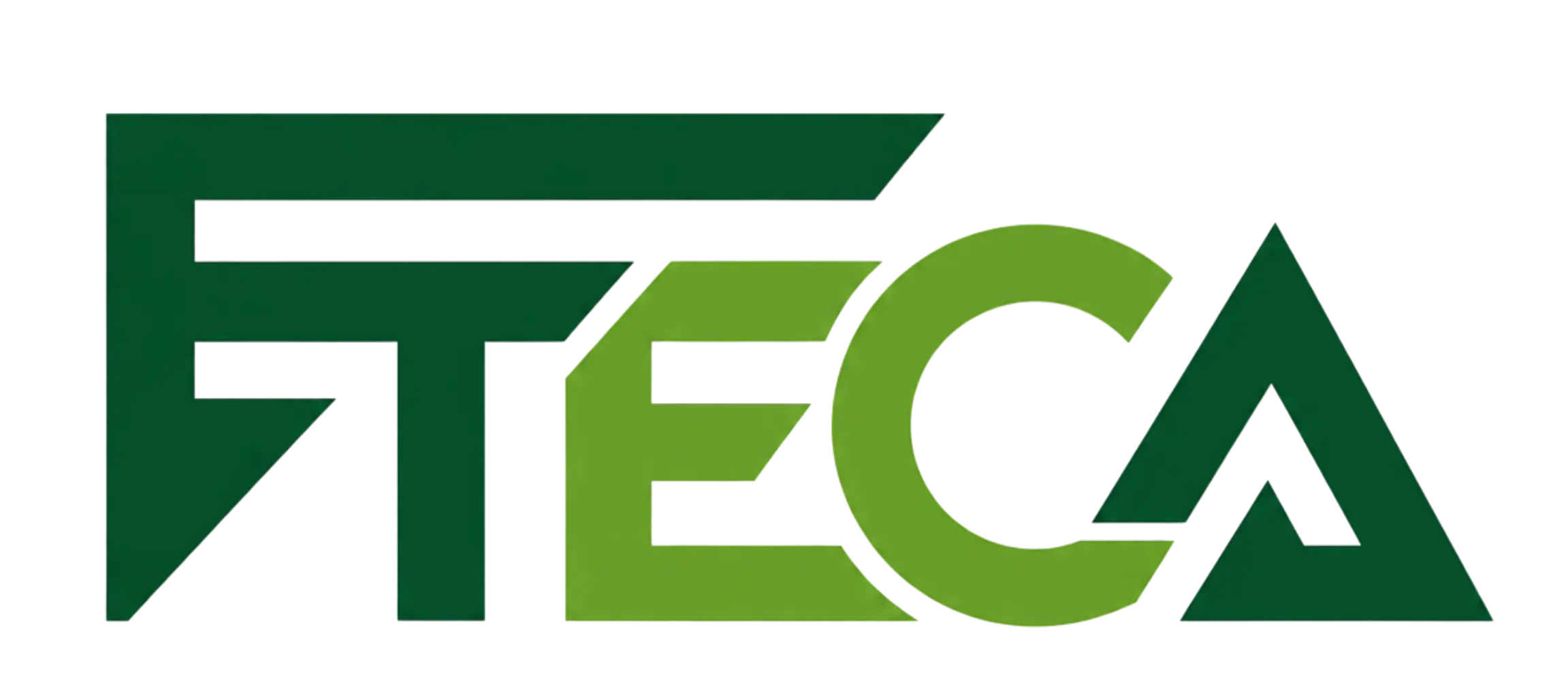 FTECA 24 Logo
